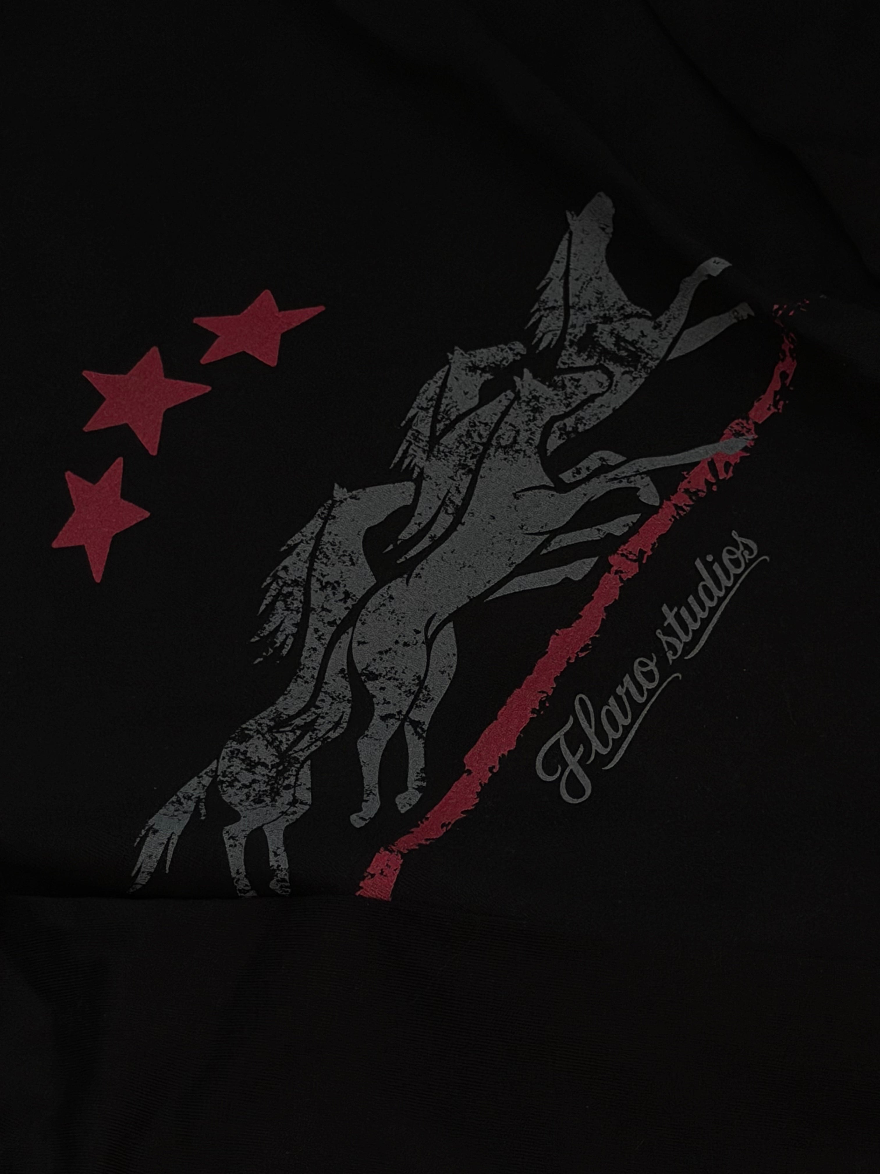 FLARO STUDIOS LONGSLEEVE